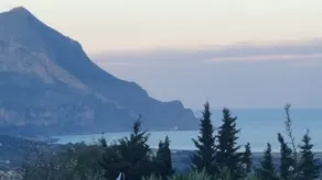 Casale Degli Ulivi - Image 5