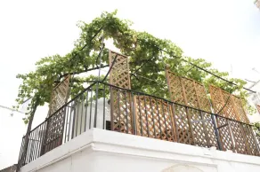 Palazzo Pace - Image 3