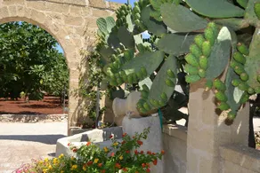 Tenuta Santa Giovanna - Image 2
