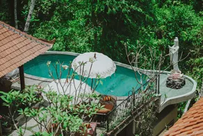 Jungle Lotus Villas - Image 4