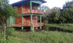 Book Jungle - Image 5