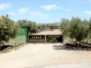 Los Olivos De Noja - Image 4
