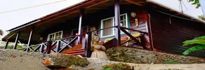Villa Rasta - Image 5