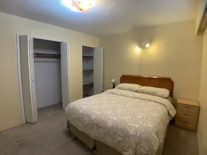Old Old Plum Tree Style Suite - Image 2