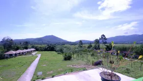 Pannipa Villa - Image 5