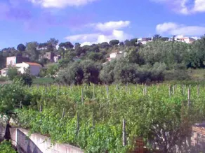 Azienda Agricola Fuocomuorto - Image 3