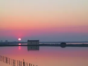 Sun Drenched Seaside Holiday Home near Venice - Image 4
