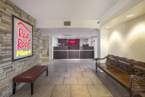 Red Roof Inn PLUS+ Neptune Beach - Jacksonville Beach - Image 5