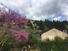 Agriturismo La Fonte - Image 3