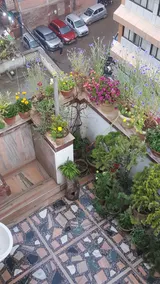 Asmita Bed And Breakfast - Image 5