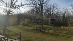 Mansfield Woods - Image 2