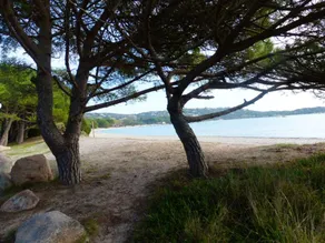 Appartement de 2 chambres avec piscine partagee terrasse et wifi a Porto Vecchio a 3 km de la plage - Image 2