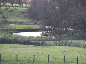 Barn Owl Cottage - Image 4