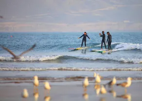 Travel Surf Morocco - Image 2