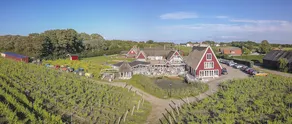 Vingården i Arild - Image 3