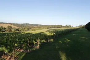 Limetree Hideaway - Image 5