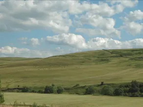 Borthwickbrae Shepherd's Hut - Image 4