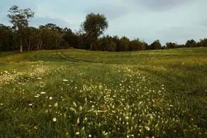 Tentrr - Private Peaceful Farm Venture - Image 4