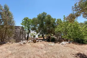 La Rondinella - Image 3