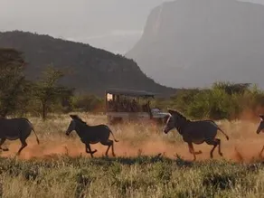 Saruni Samburu - Image 4