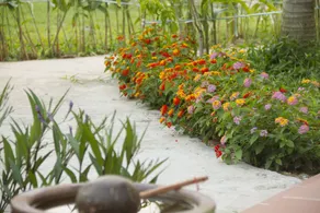 Ong Lang Village Resort - Image 3
