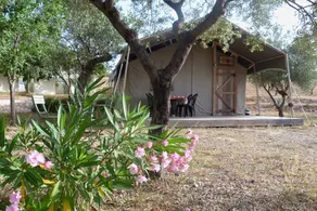 Casa Del Mundo - Image 2