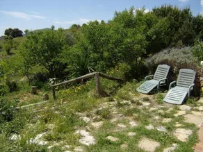 Cortijo Los Nopales - Image 5