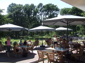 Ferienhaus mit Terrasse, Garten und Pool - Image 5