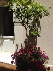 Ortygia Inn Home with Private Pool - Image 3