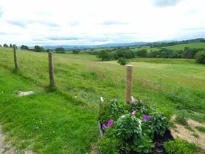 Black Mountain View - Image 5