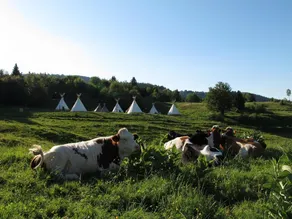 Village Tipi - Image 4