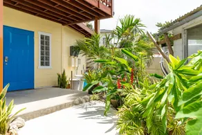 Island Breeze - Image 4