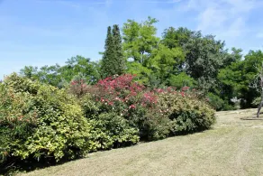 Villa Melagrana - Image 5