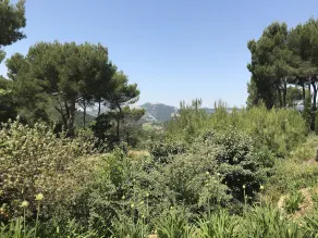 L'Aube Safran - Image 3