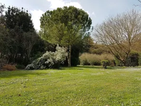 San Bernardo - Image 5
