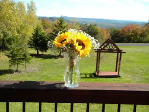 Rose and Goat Retreat - Image 4