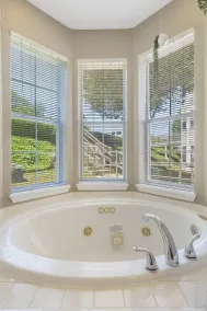 Rocky Shore Tranquility - Ozark Mtn Resort Amenities - Image 5