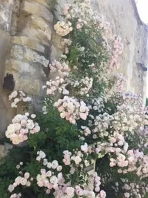 Demeure de Forterre - Image 3