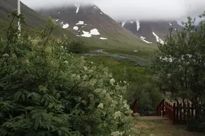 Sólbakki - Image 4