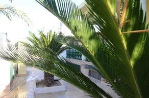 Appartamenti in Villa Indipendente a 200 Metri Dalla Spiaggia - Fsi-fra01 - Image 3