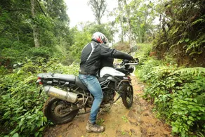 Deep Woods Resort - Image 5