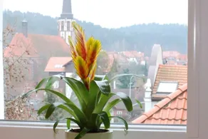 nice2stay VisitOliwa - Image 2