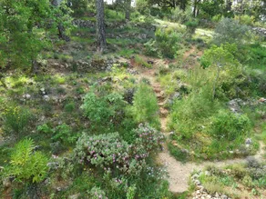 La Bastide des Templiers - Image 2