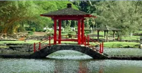 Volcano Park Rentals - Image 3