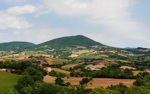 B&B La Cerasa - Image 4