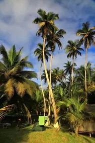 Beyin Eco Beach Camp - Image 4