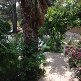 Villa La Rochette With Pool & Seaview - Image 2