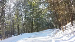 Sunset Haven on Portage Lake Haliburton - the Perfect Family Getaway! - Image 5