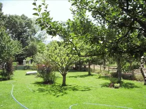 La Galamperna - Image 4