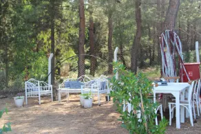 Secluded Apart Surrounded by Nature in Selcuk - Image 5